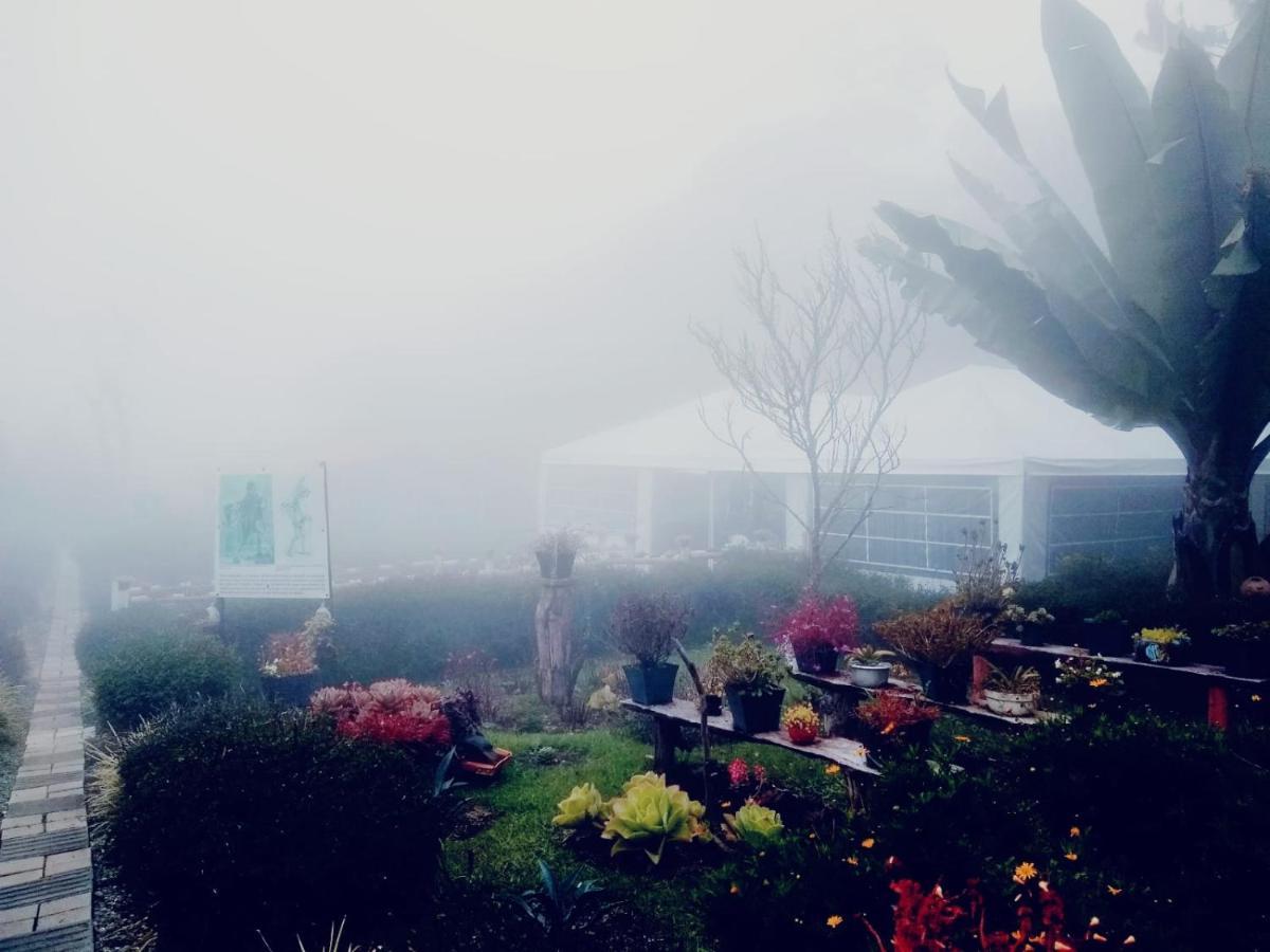 Hospedaje Santaelena -Chalets De Montana- Santa Elena  Eksteriør bilde