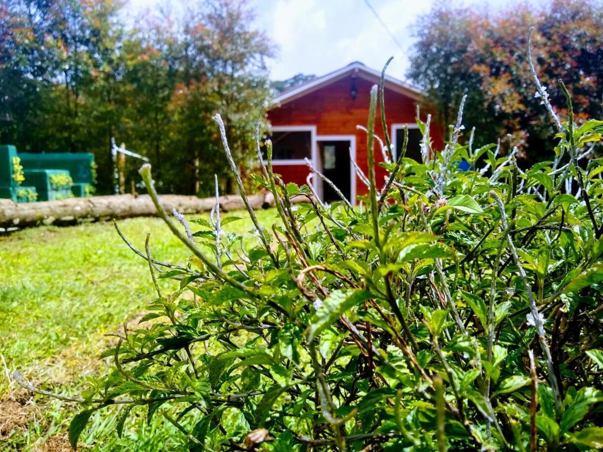 Hospedaje Santaelena -Chalets De Montana- Santa Elena  Eksteriør bilde