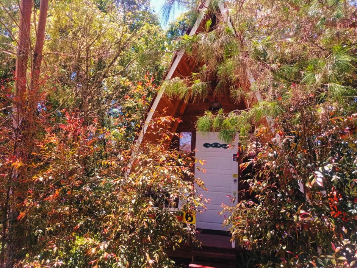 Hospedaje Santaelena -Chalets De Montana- Santa Elena  Eksteriør bilde
