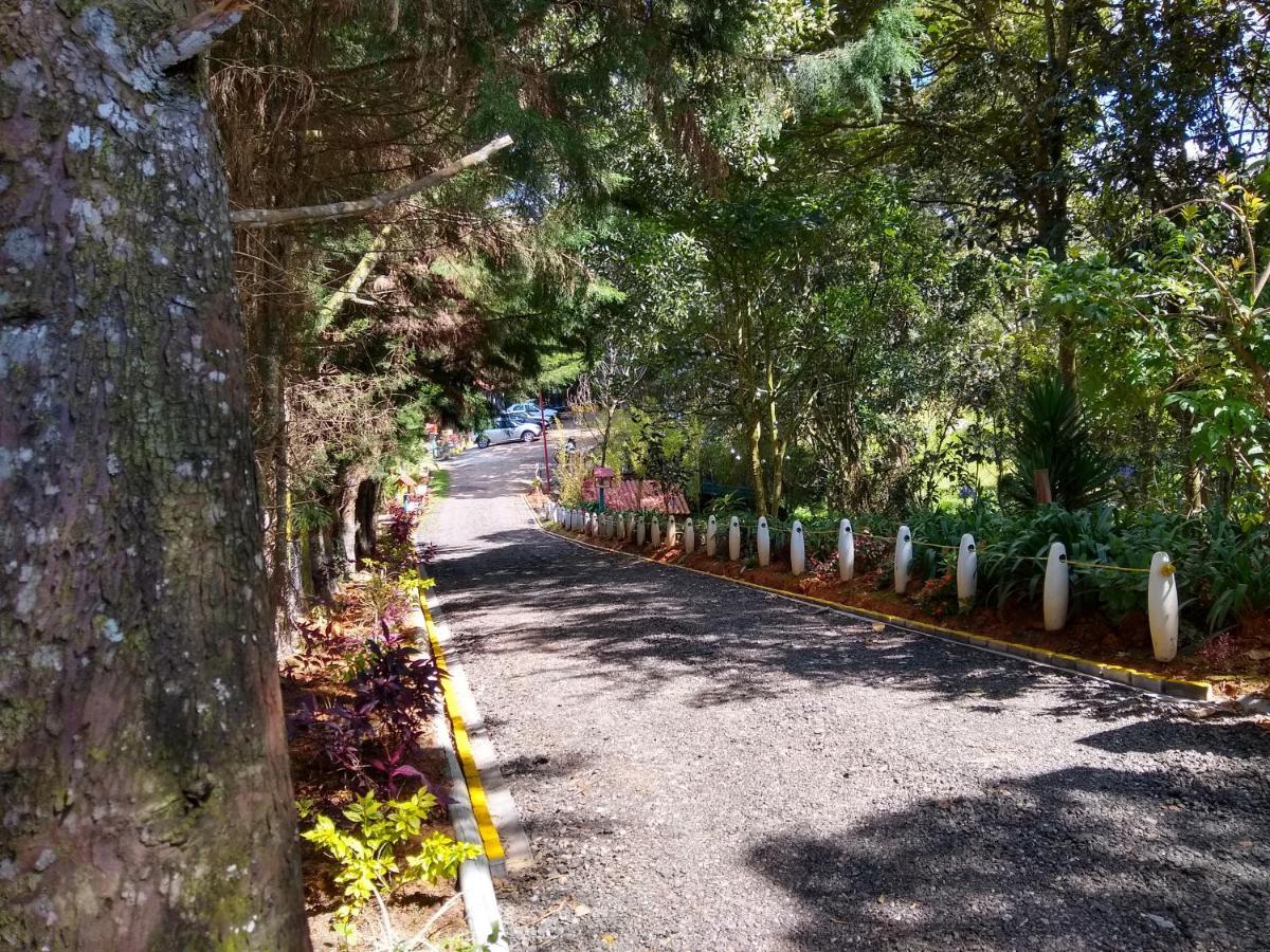 Hospedaje Santaelena -Chalets De Montana- Santa Elena  Eksteriør bilde